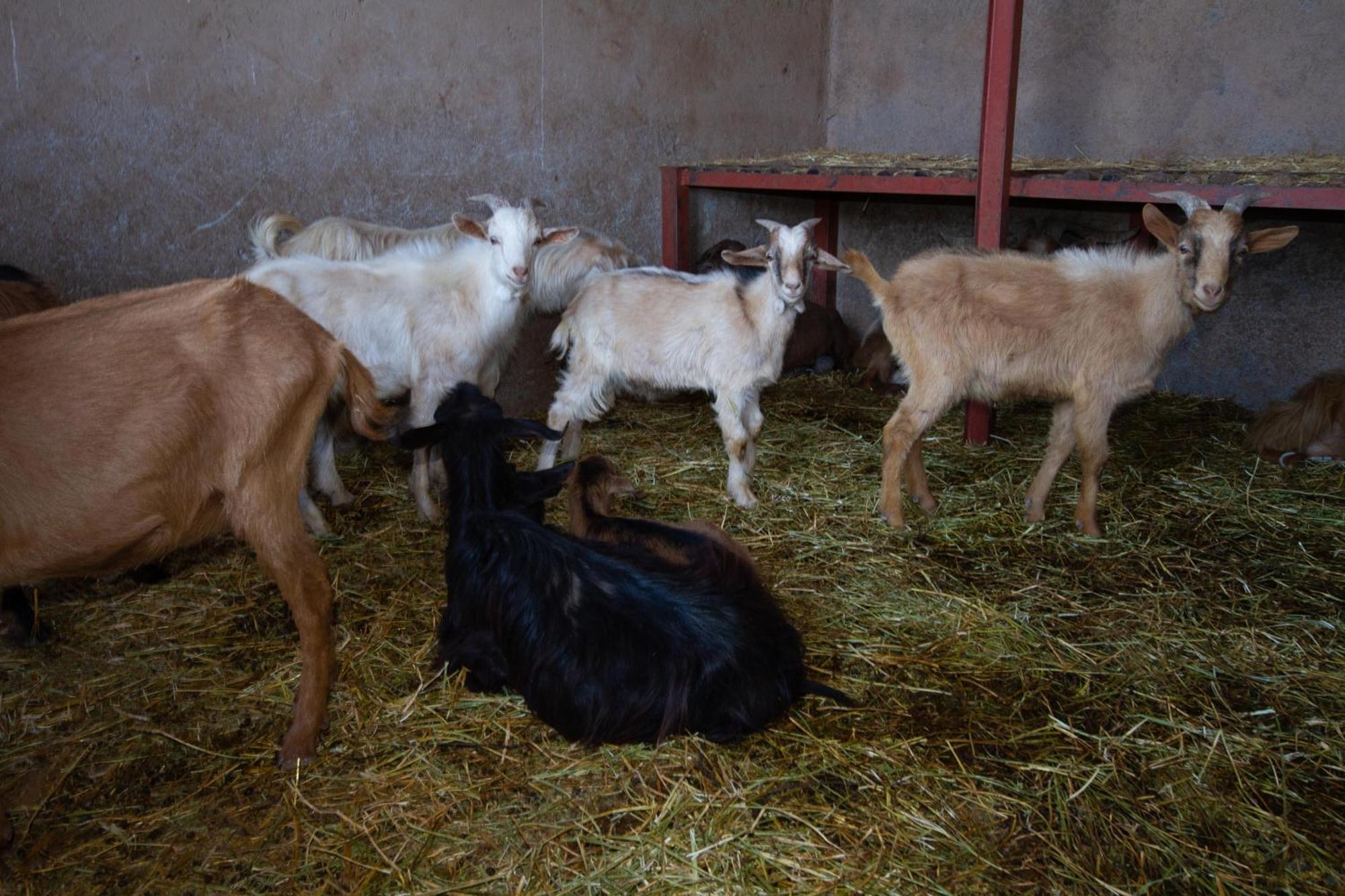 La Ferme De Lalladom Tameslouht Екстер'єр фото