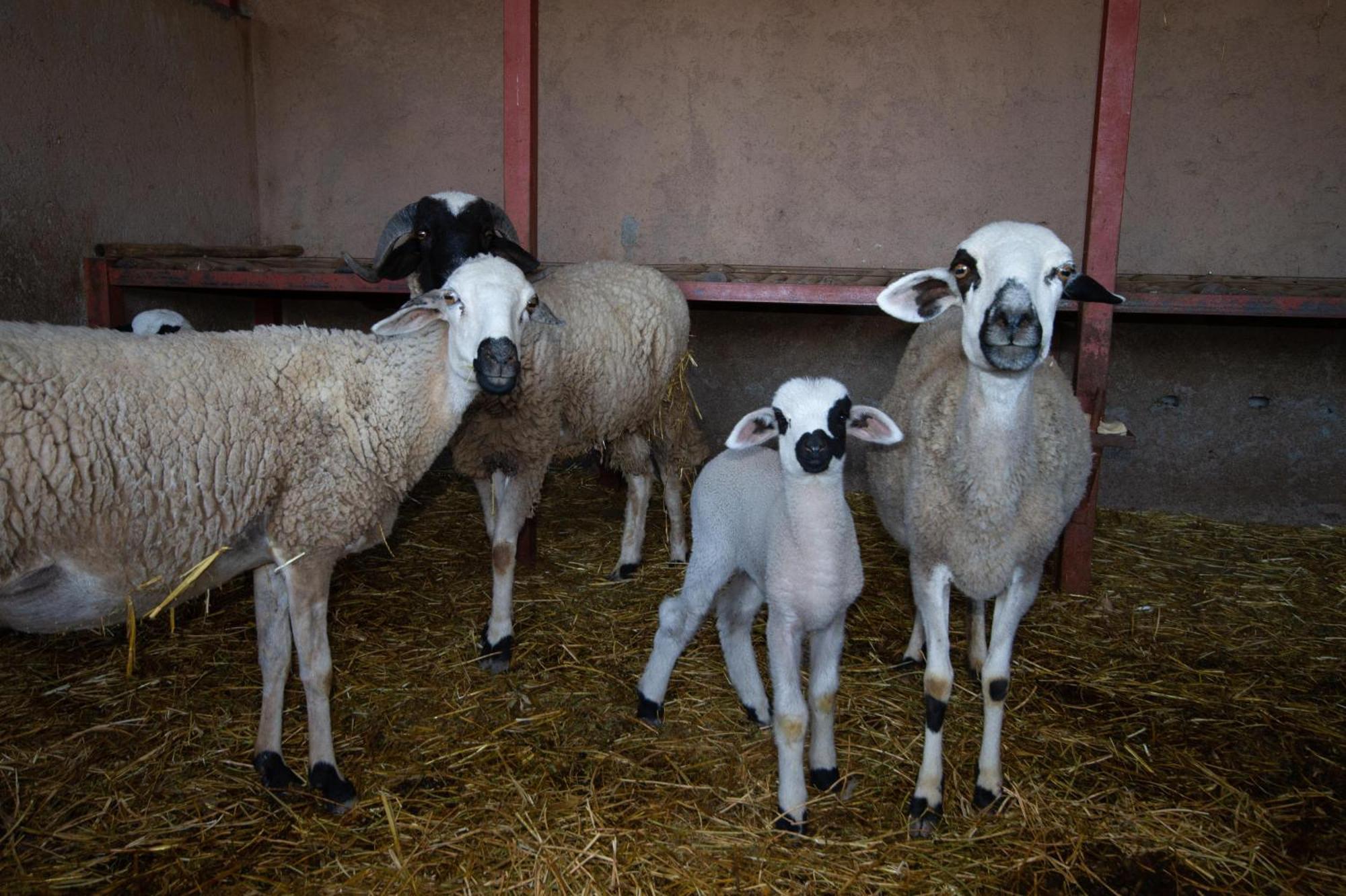 La Ferme De Lalladom Tameslouht Екстер'єр фото