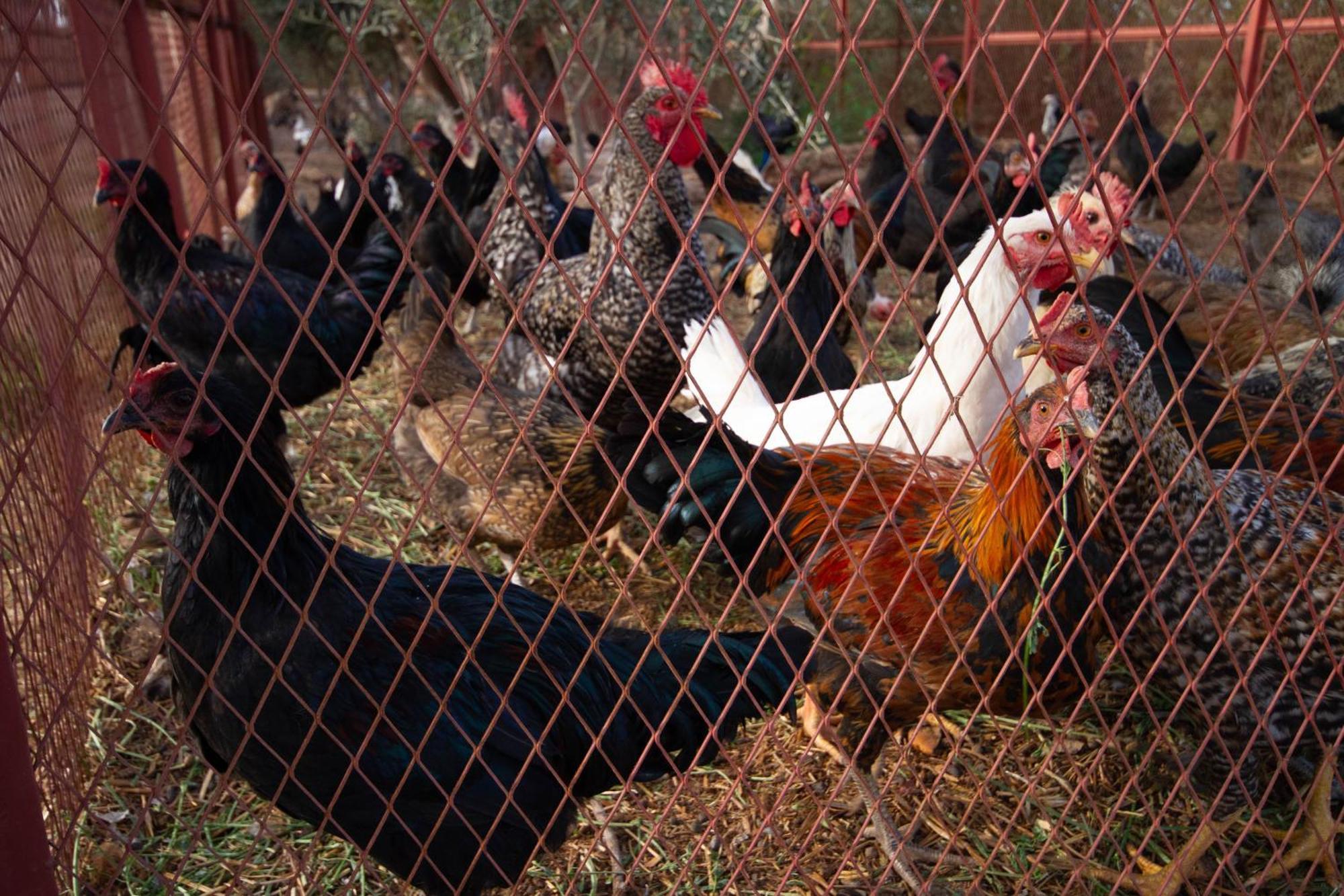 La Ferme De Lalladom Tameslouht Екстер'єр фото