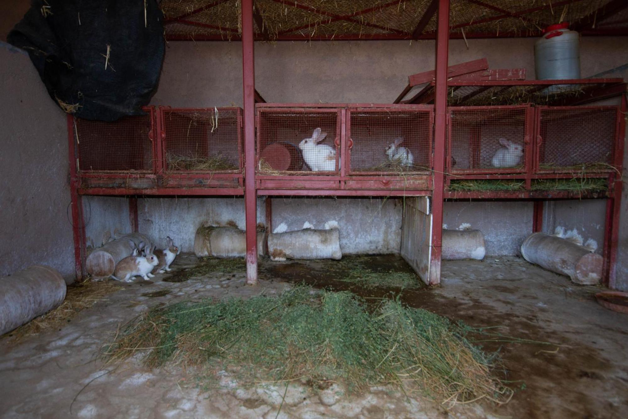 La Ferme De Lalladom Tameslouht Екстер'єр фото